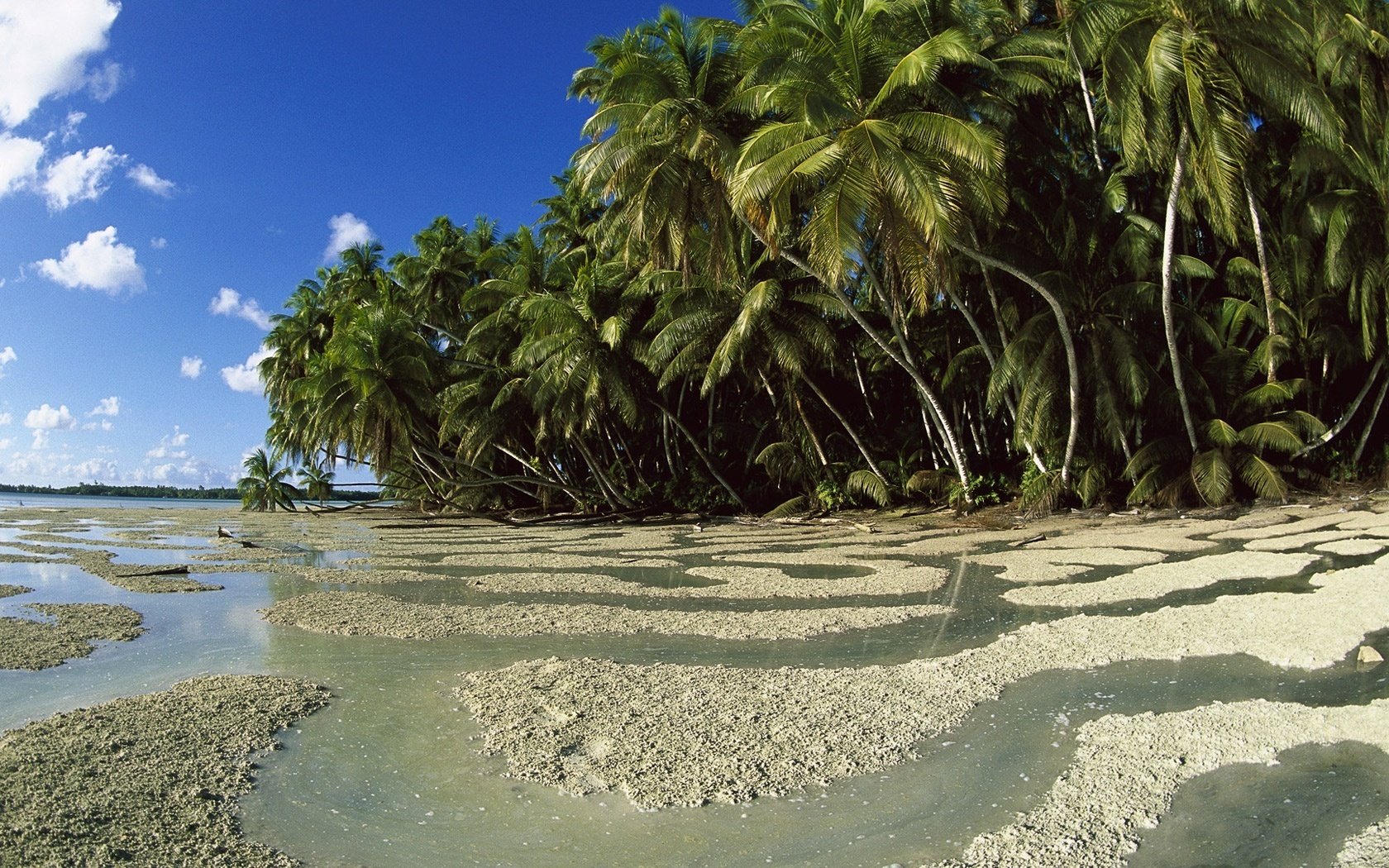 luoghi selvaggi modelli d acqua foresta spiaggia cielo costa palme isola nuvole vegetazione tropici natura paesaggio