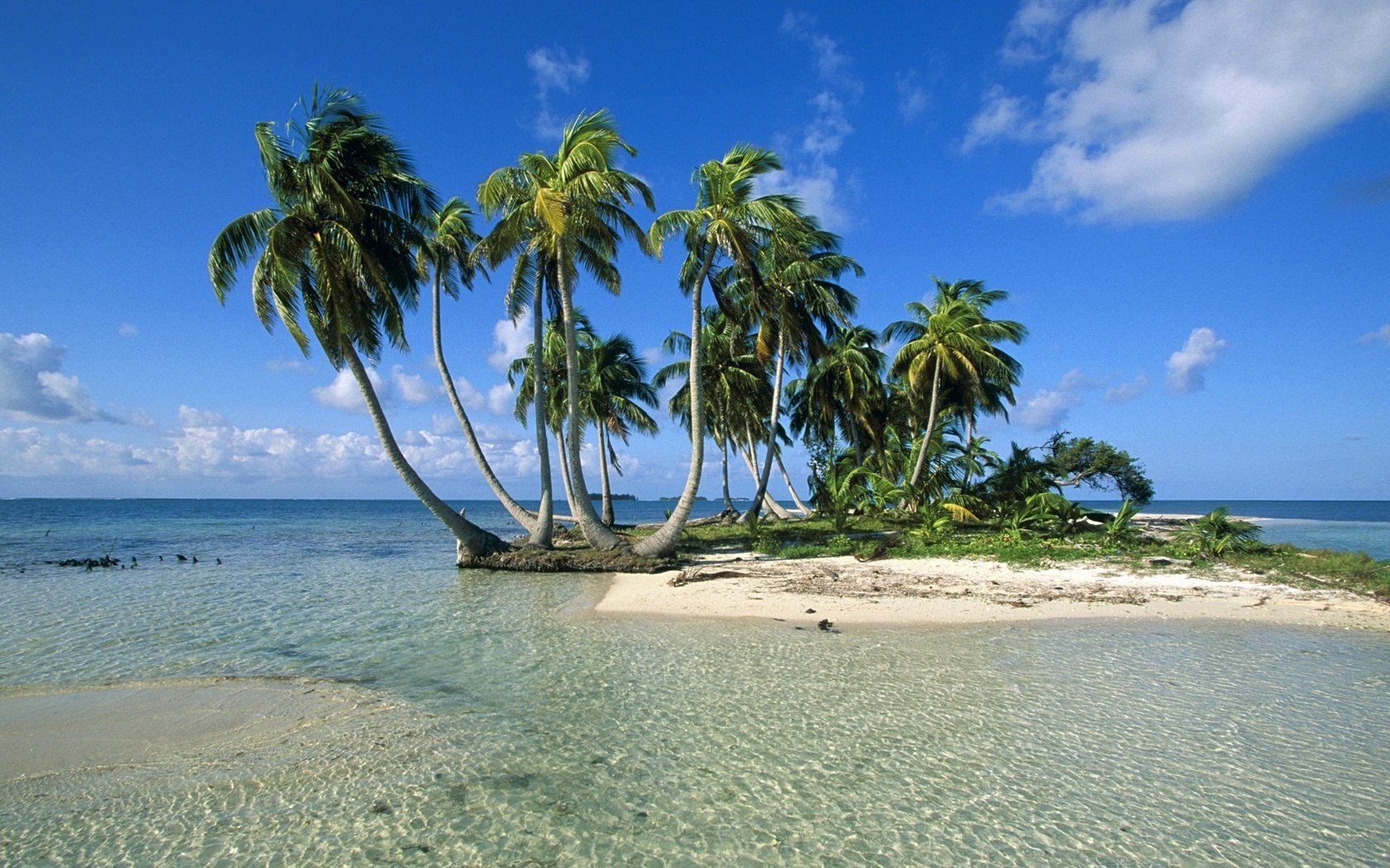 vento leggero acqua limpida sole spiaggia acqua cielo palme isola sabbia natura paesaggio alberi nuvole estate caldo tropici paradiso riposo silenzio superficie liscia azzurro