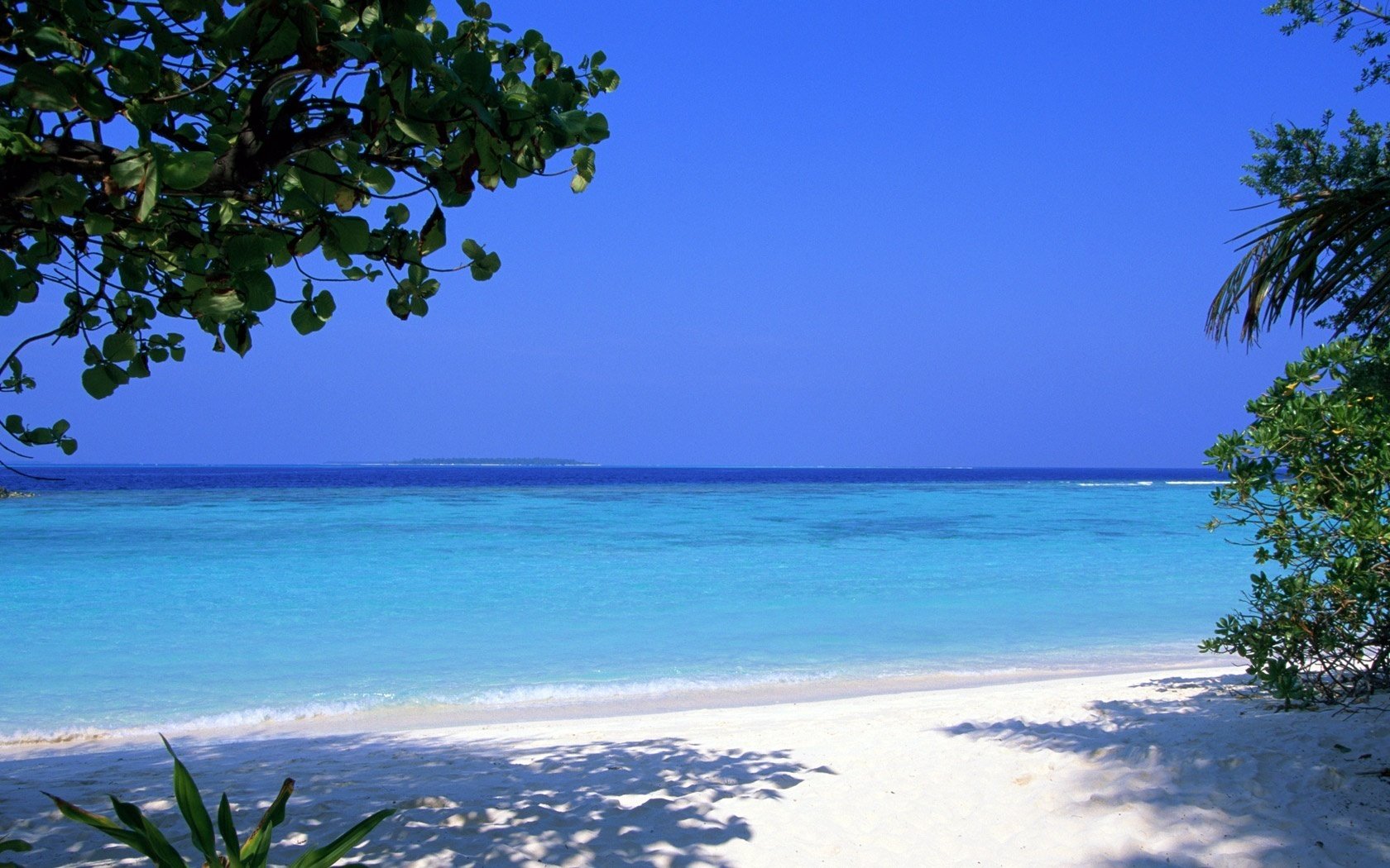 schatten im sommer weiße küste flugblätter strand wasser himmel meer brise insel palme sonne horizont sommer paradies wolken brandung ufer