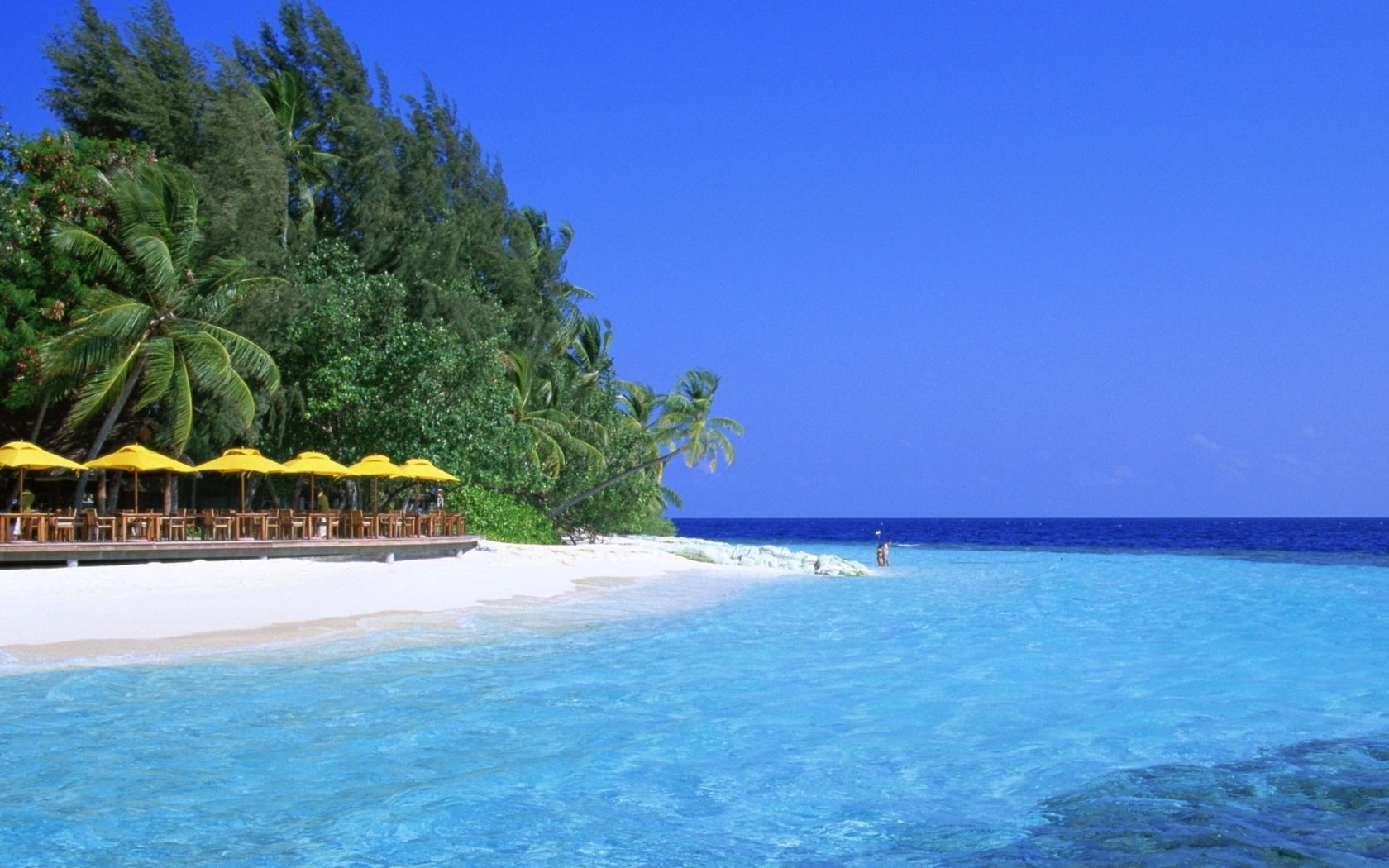 the oppression of the branches of the trees the wind beach area beach water the sky shore sea umbrellas cafe cote d azur surf blue tropics island heat summer landscape horizon nature stay resort