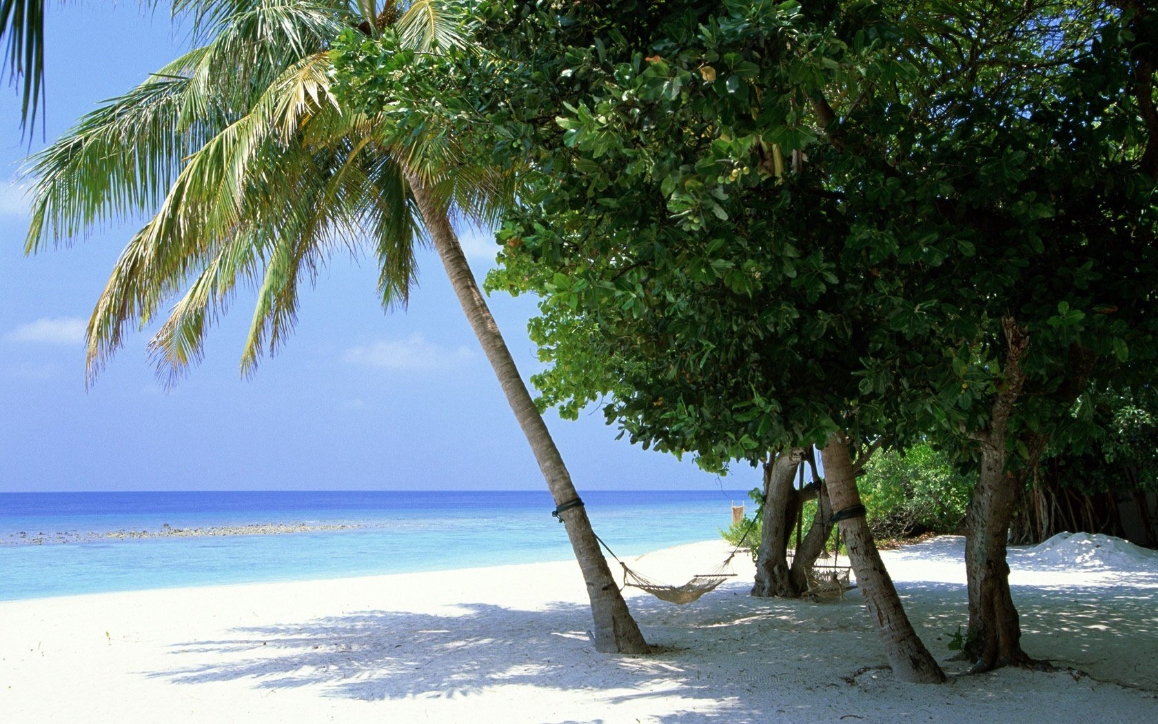 hängematte am baum schatten bäume strand küste meer horizont natur landschaft urlaub urlaub sand tropen küste wolken sommer