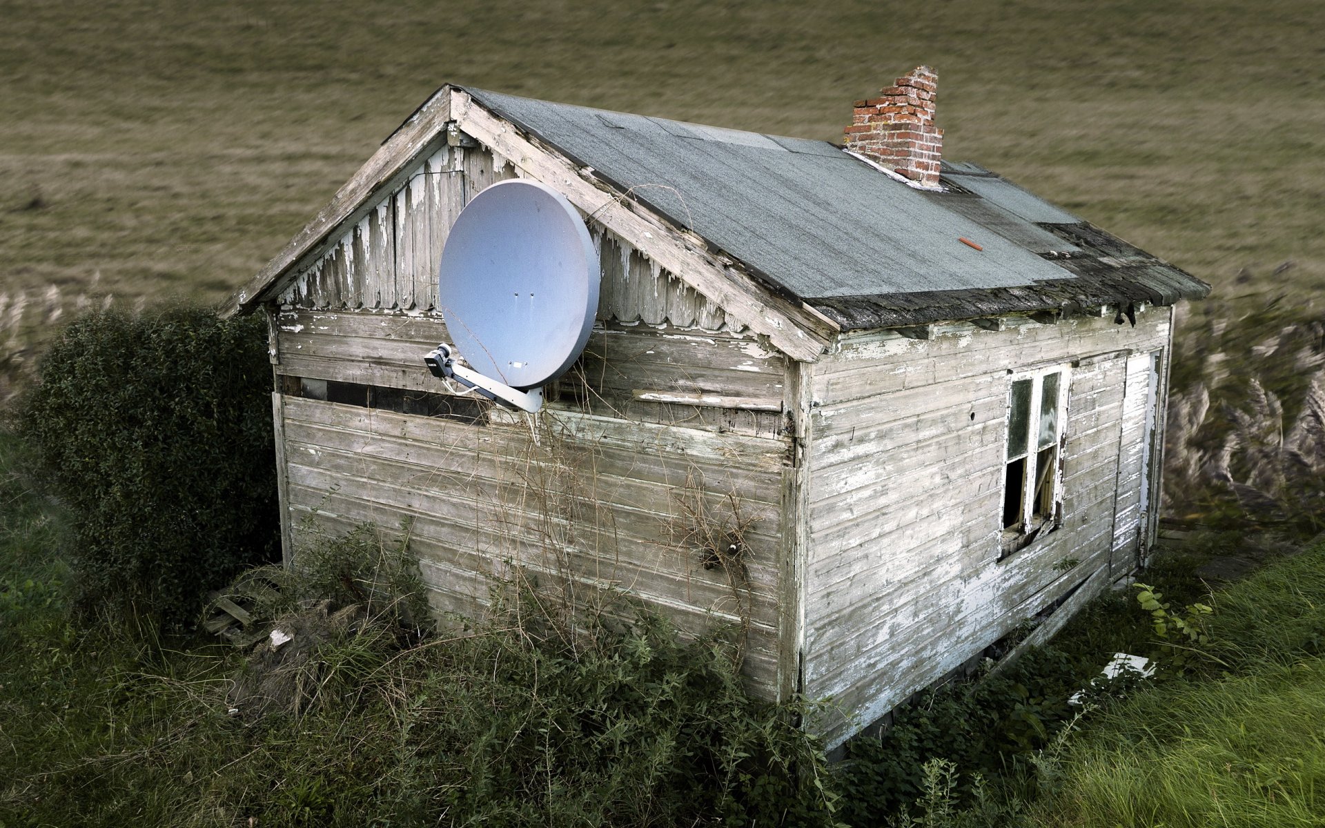 maison champ fond