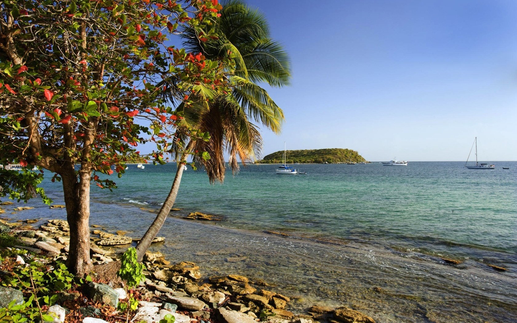 petite baie yacht cailloux au fond mer brise île palmier soleil horizon été paradis nuages surf eau rivage ciel