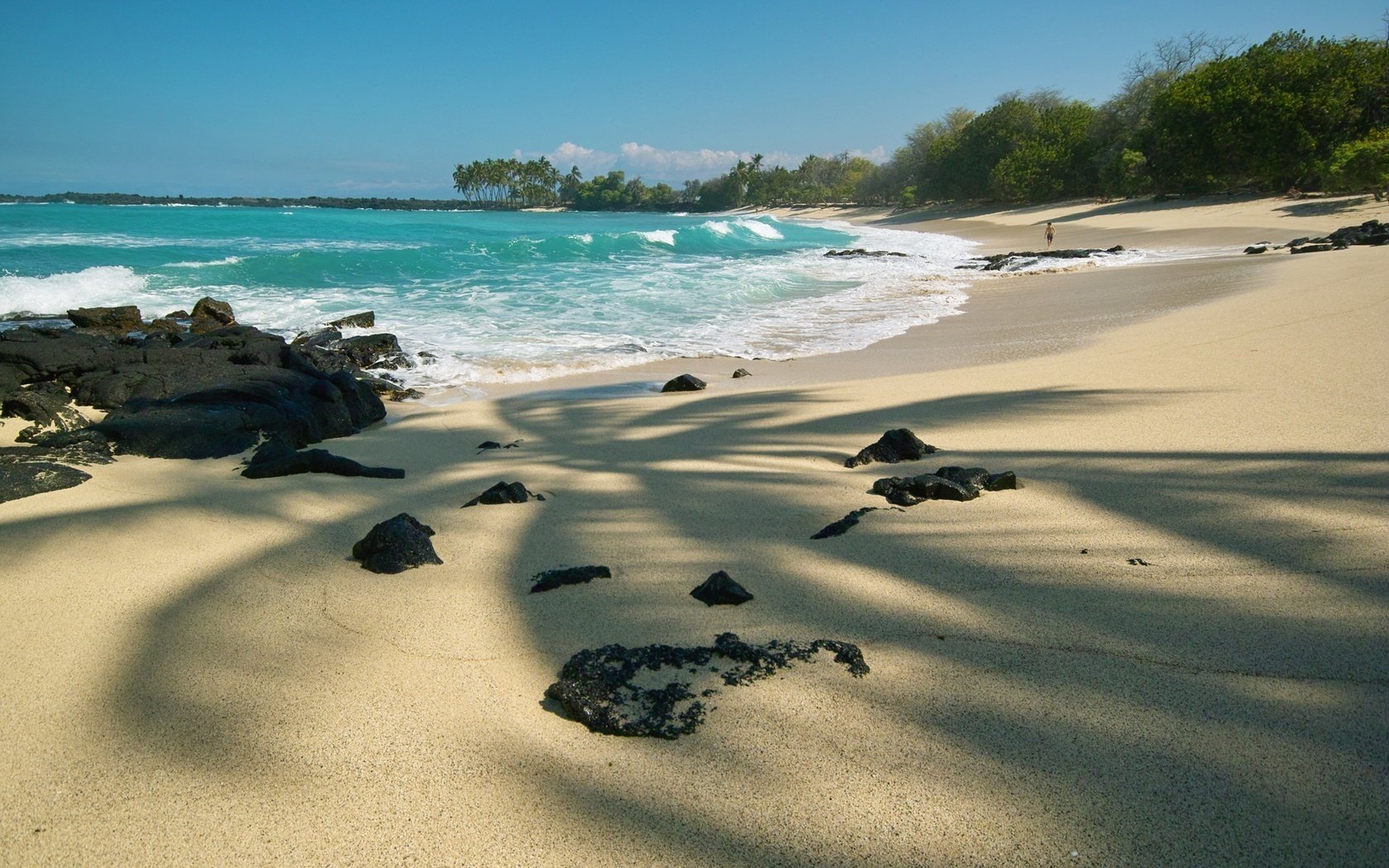 the shadow of the palms beauty on the sand sea beach breeze island palma the sun horizon summer paradise clouds surf sand shadow stones water shore the sky