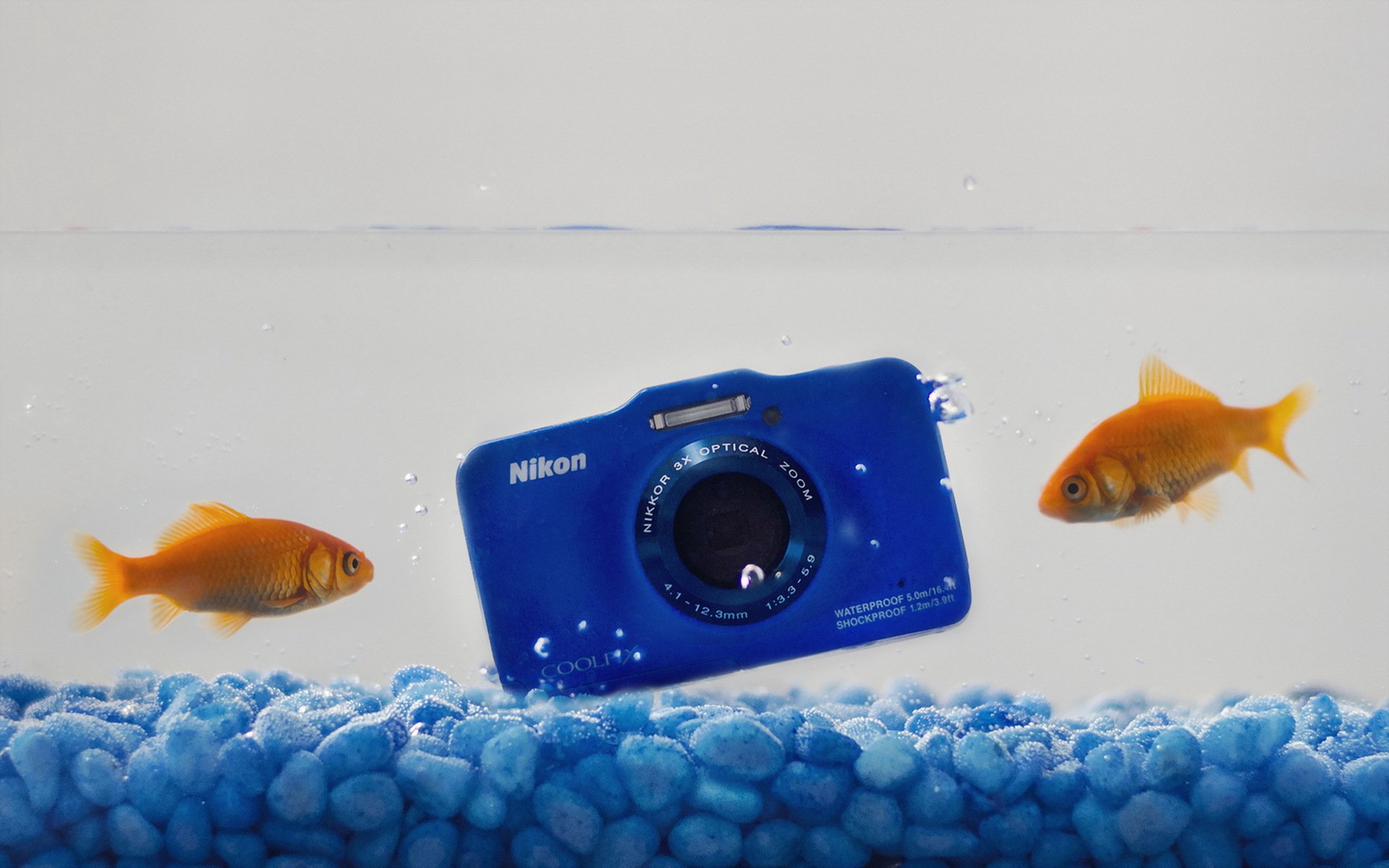 nikon appareil photo eau poissons