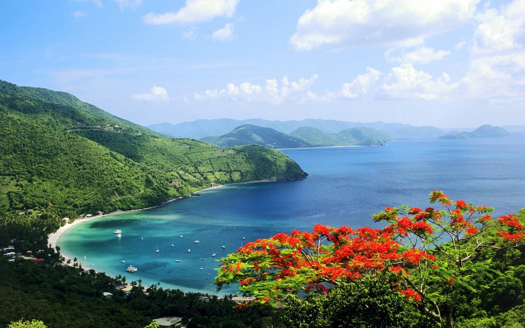 blumen bucht rote blumen grüne berge wasser himmel berge meer bucht ansicht landschaft yachten urlaub resort