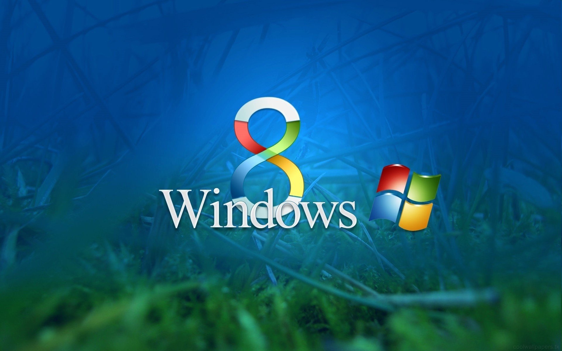 windows 8 fenster gras hintergrund