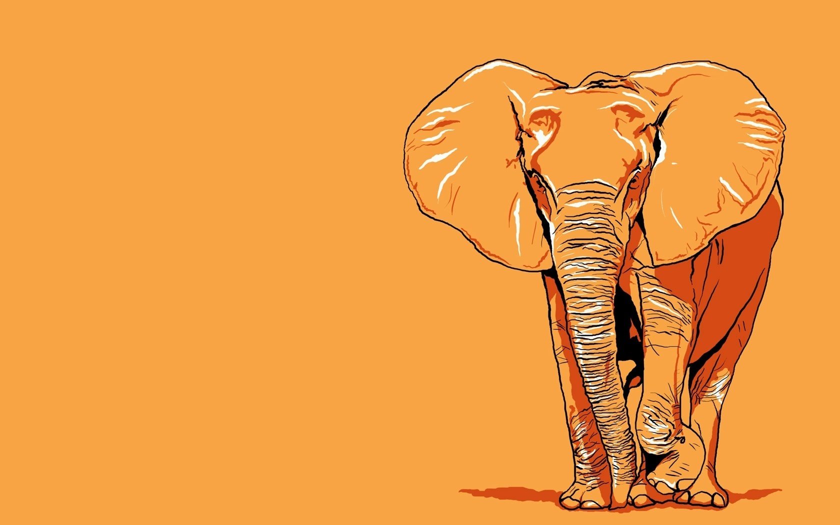 elefante dibujo a lápiz fondo naranja dibujos anime gráficos naranja