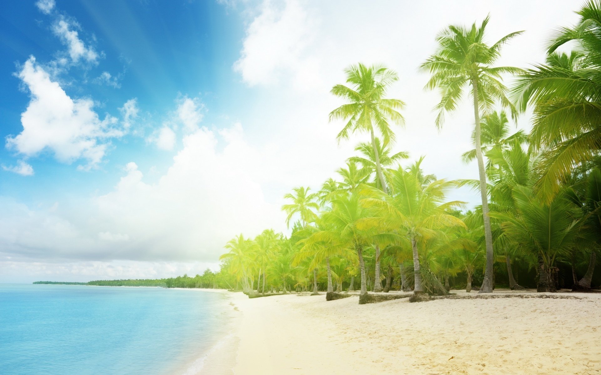 dazzling light coastal zone greenery beach water sky sea island summer heat heat nature landscape clouds shore surf sand palm tree