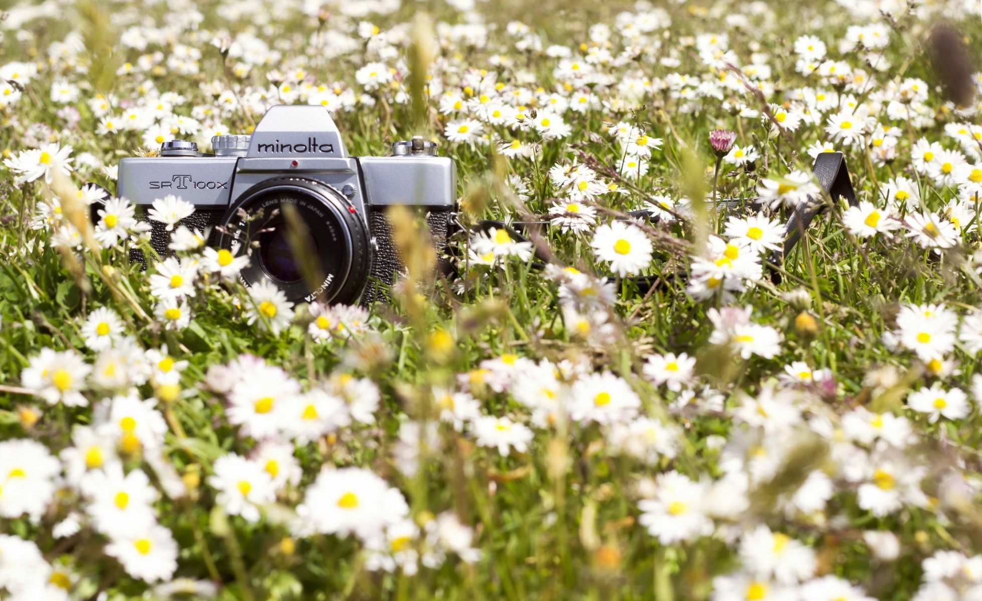 the camera close up background