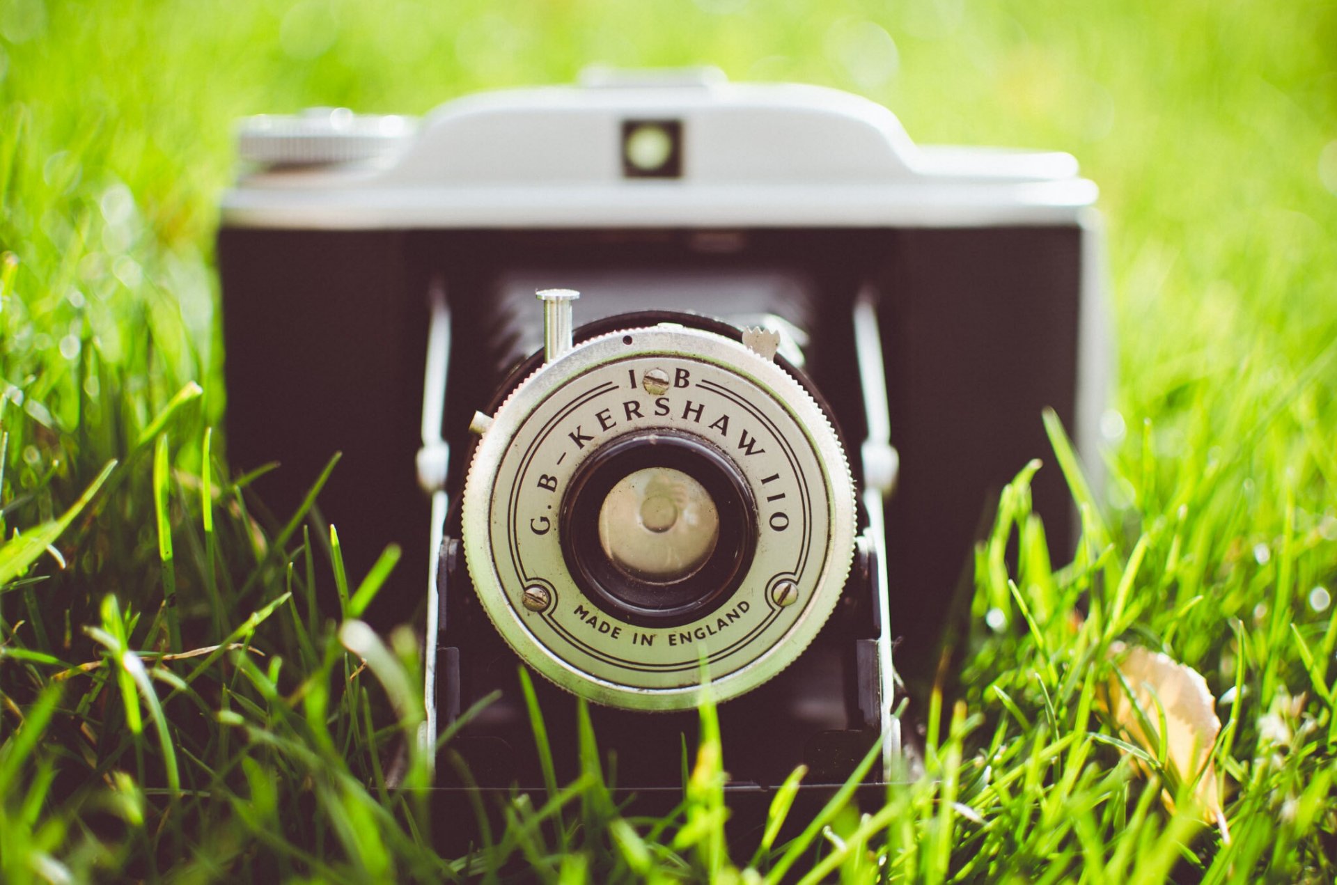 a camera the camera lens grass green