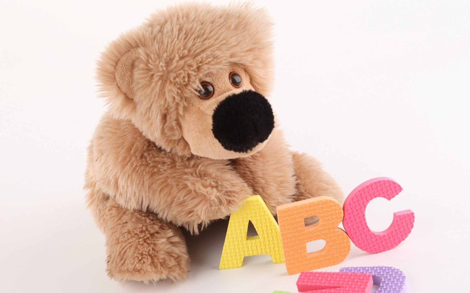 kids toys soft toy abc toys letters background nose bear eye