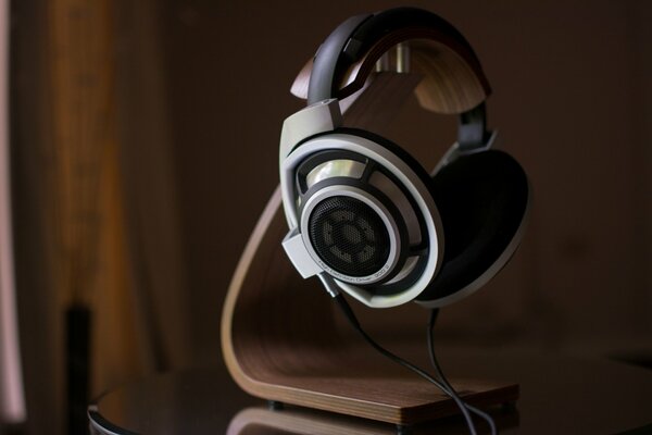 Auriculares sennheser hd800 con soporte