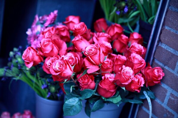 Розовые розы в вазоне в букетах