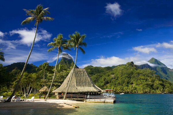 Casa di paglia in un angolo paradisiacon la spiaggia con le palme