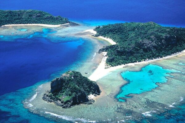 Tropical islands with greenery in the middle of the blue sea