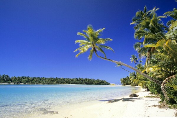 Un paraíso en una playa blanca entre palmeras