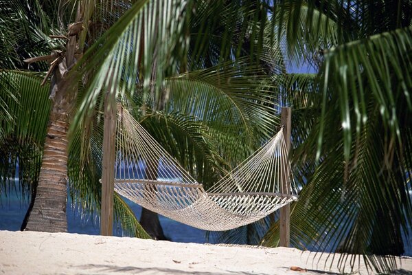 A hammock made of threads between palm trees on a sandy beach in a paradise corner of the globe