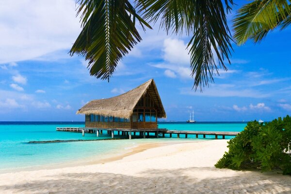 Wooden house by the beach with a thatched roof