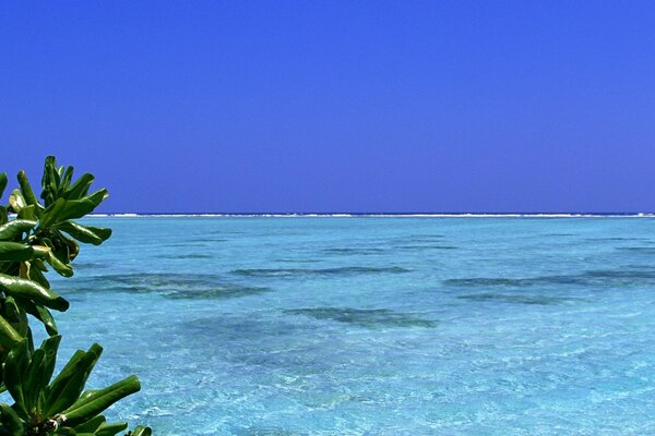 Paisaje alucinante, cielo azul, mar azul