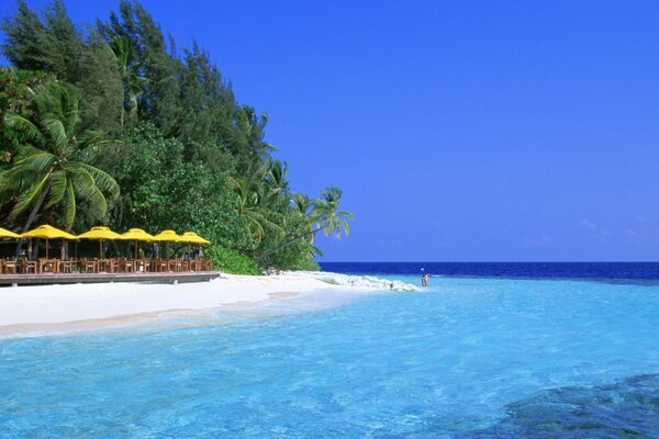 Costa azul, verano, maravilloso Resort