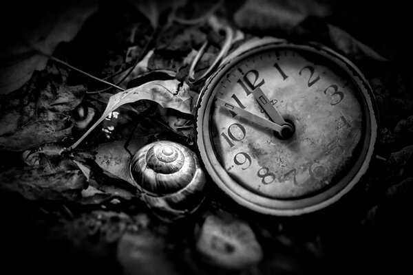 Photo of an old hand clock in a black and white filter