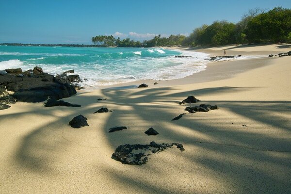 Красивая тень пальмы на берегу пляжа