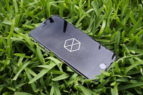 IPhone6 se trouve dans l herbe verte