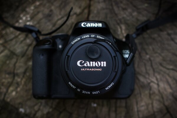 Fotocamera canon con obiettivo appoggiato su un albero