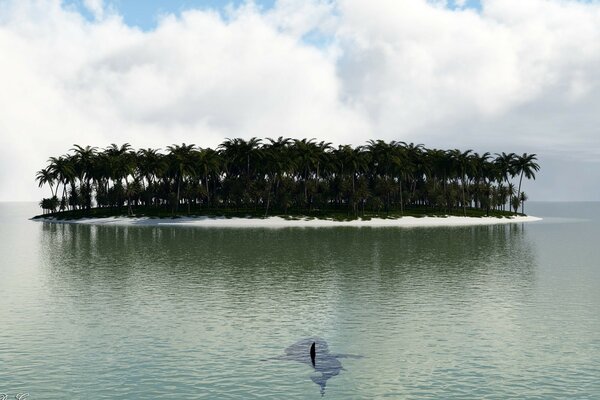 Art palm trees on the island to which the fish swims