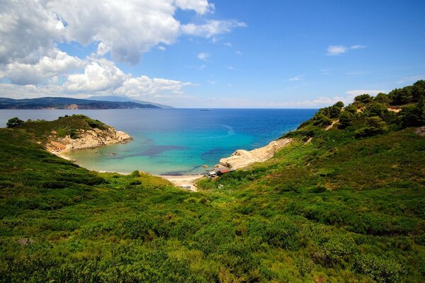 Mountain coast in green vegetation