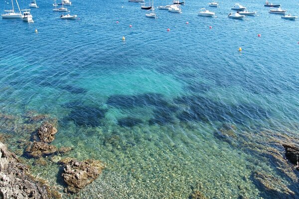 Stunning view , azure water, transparent bottom