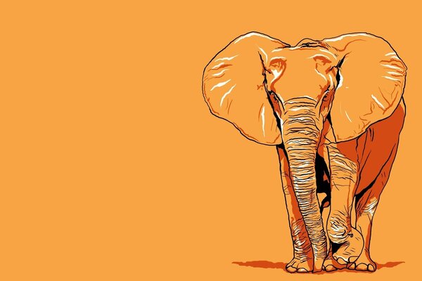 Elefante pintado sobre fondo naranja