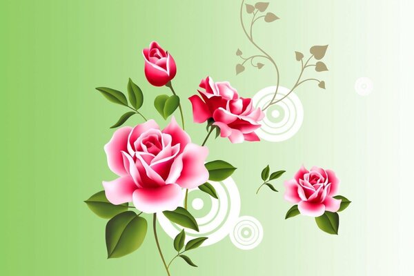 Three roses on a green background