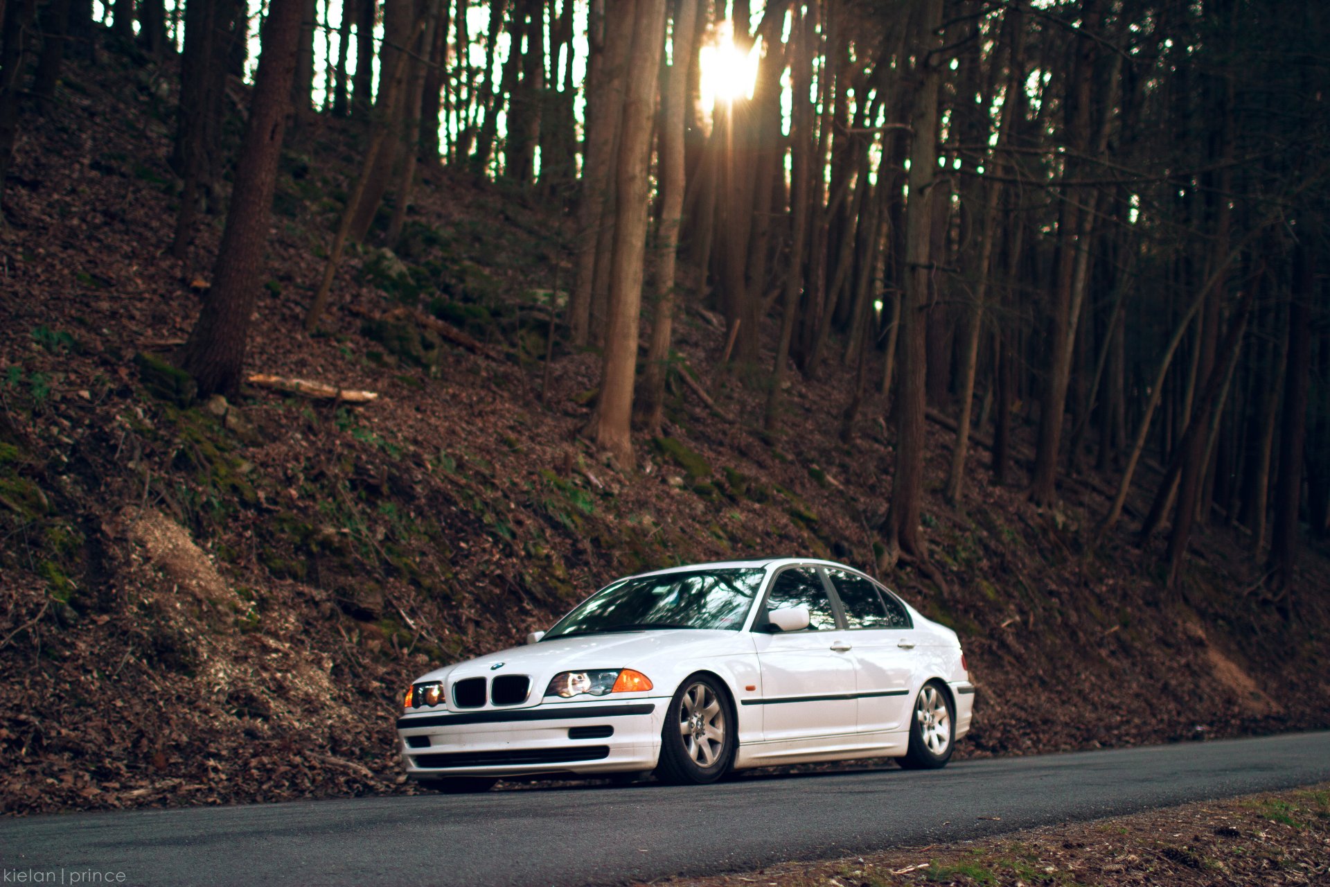 bmw e46 323i bmw série 3 forêt arbres route blanc