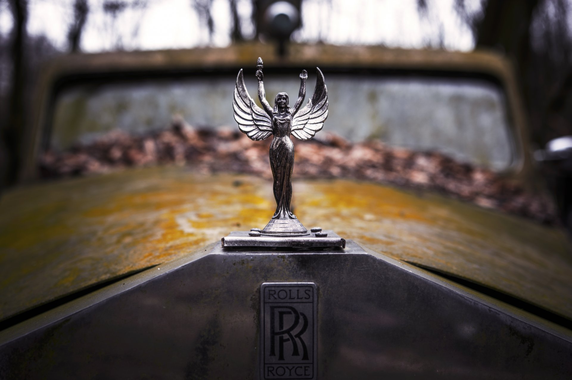 emblem label rolls royce hood retro the old rusty