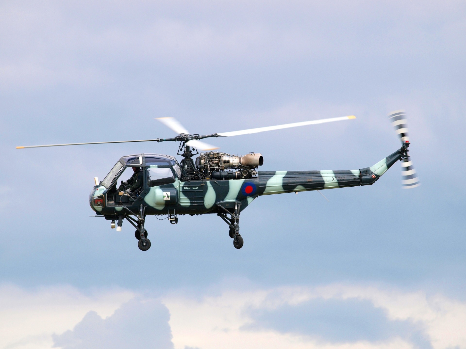 westland scout uk multi-purpose