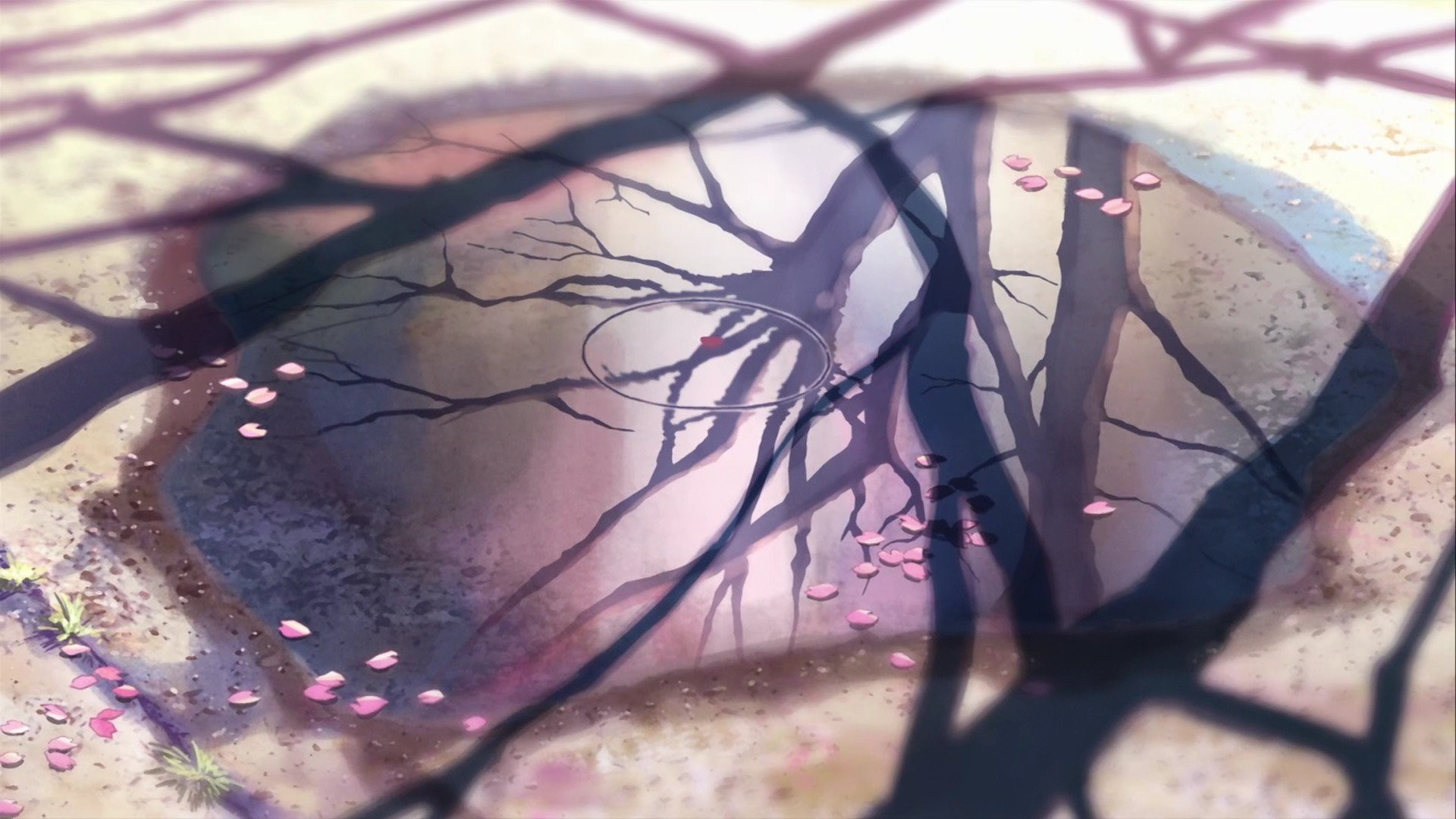 5 centimeters per second makoto shinkai reflection leaves sakura