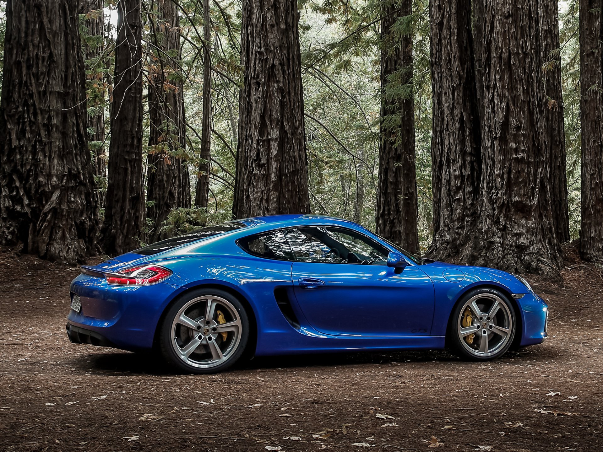 2014 porsche cayman gts порше кайман