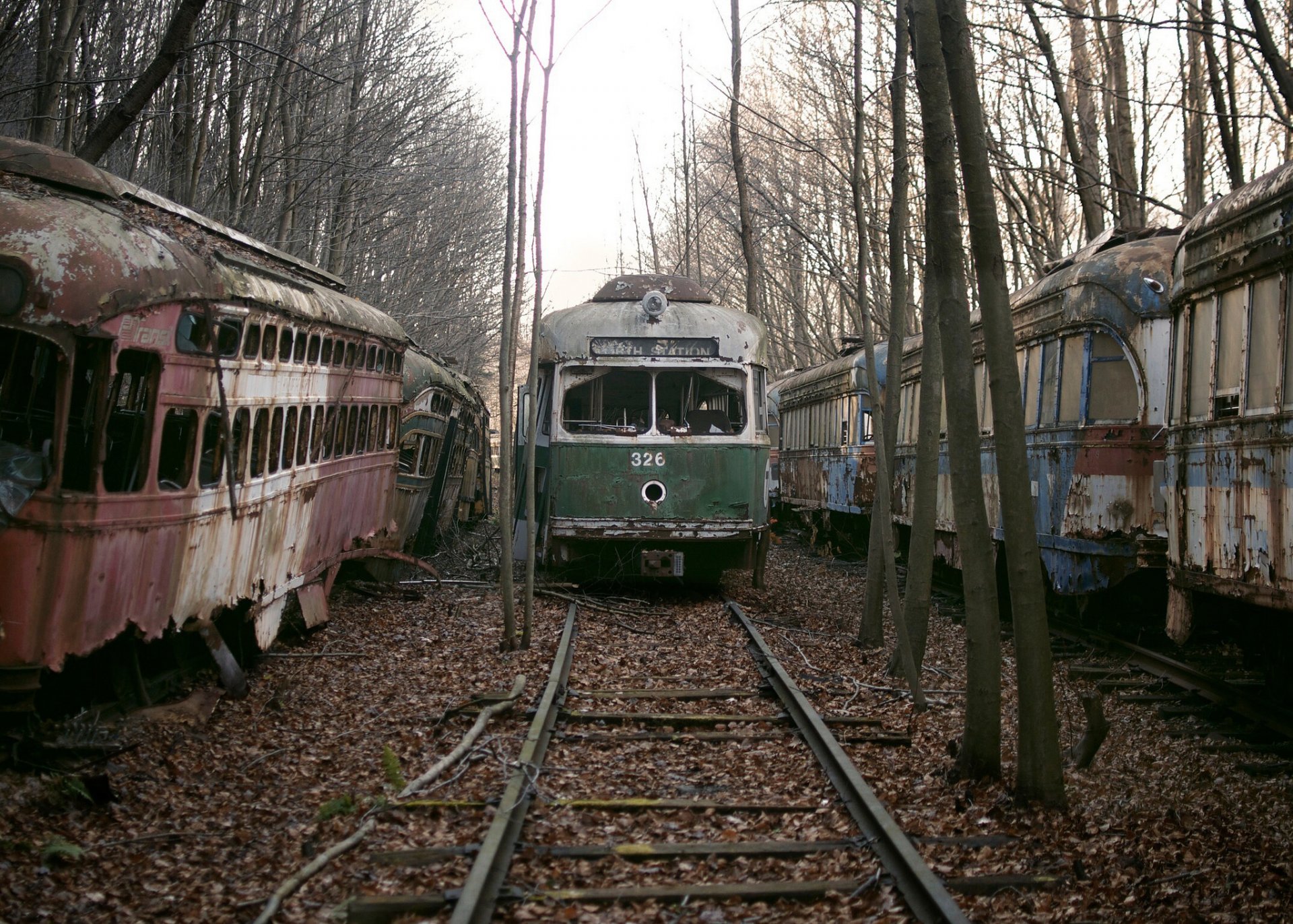 tram strada rottami