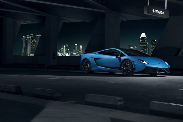 Gallardo azul en el fondo de la ciudad de la noche