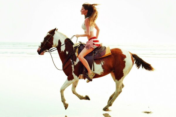 A beautiful rider rides a spotted horse