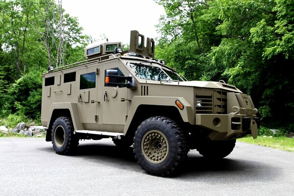 Coche del ejército en el patio de recreo en el bosque