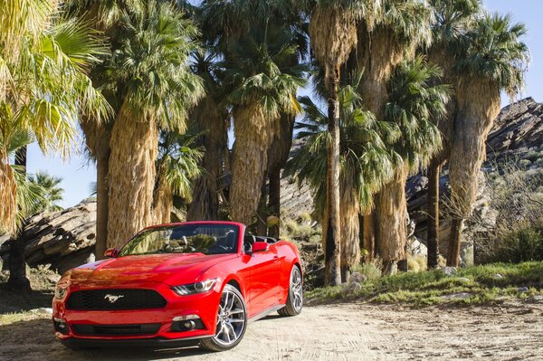 Red Convertible Ford Mustang 2014