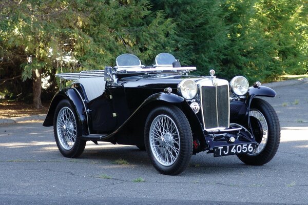 Oldtimer-Polizeiauto auf Baumhintergrund