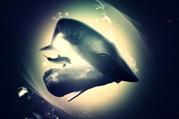 Figure de la sauvagine baleine et dauphin monde sous-marin