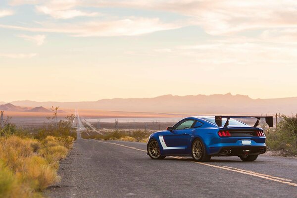 Ford Mustang na drodze