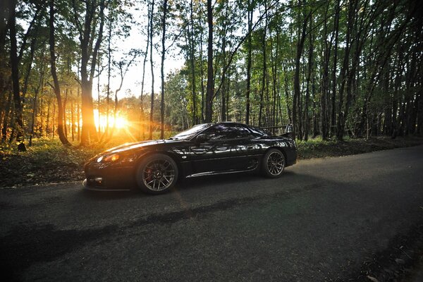 Black mitsubishi in the forest on the background of sunset