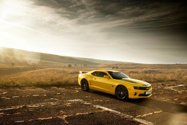 Yellow Chevrolet - conquering desert roads. 