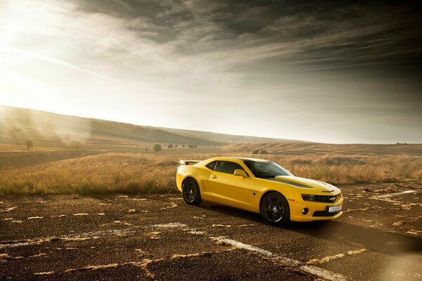 Żółty Chevrolet-podbijamy pustynne drogi. 